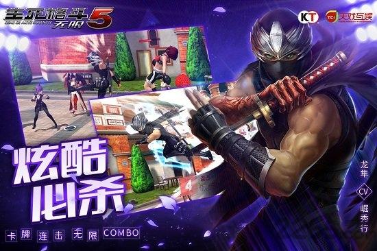 生死格斗5无限单机版下载,生死格斗5无限,格斗游戏,街机游戏