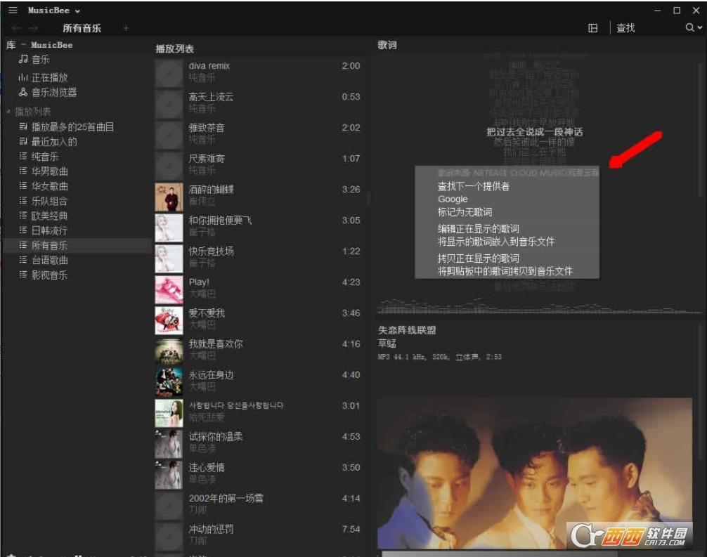 音乐管理软件,歌词插件,动漫皮肤.